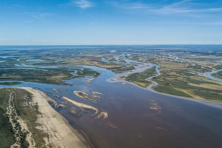 Delta do Paraná, Argentina
