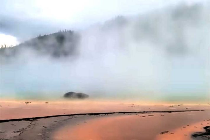 Turistas assistiram a bisão se dissolver em lago quente nos EUA - Reprodução dde vídeo Canal Uol