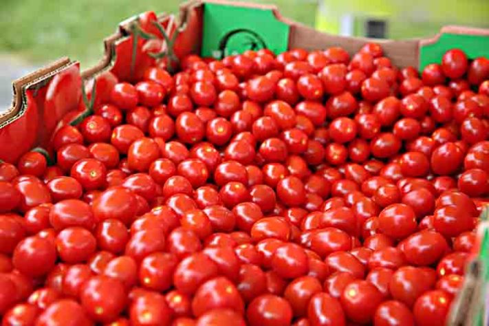 Miraculina