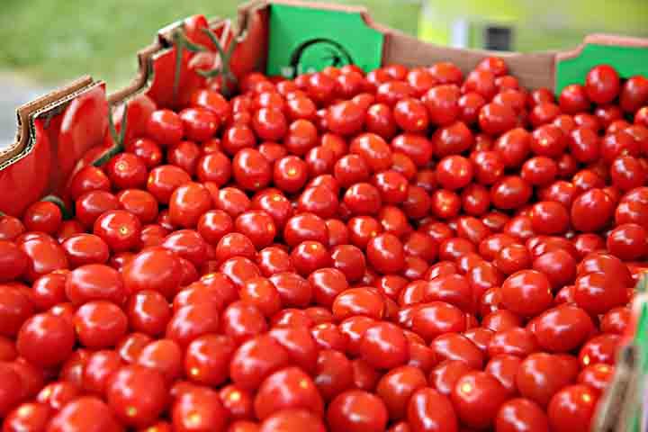 Esses estudos revelaram que a miraculina nÃ£o Ã© doce em si, porÃ©m altera a percepÃ§Ã£o do sabor atravÃ©s da ligaÃ§Ã£o com os receptores gustativos. 