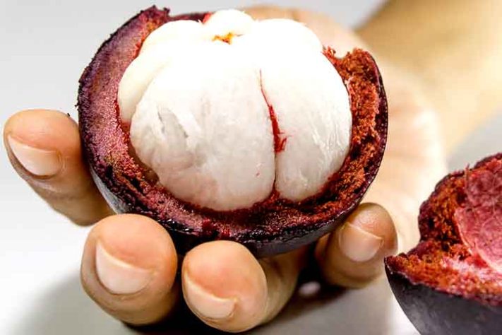 Mangostão