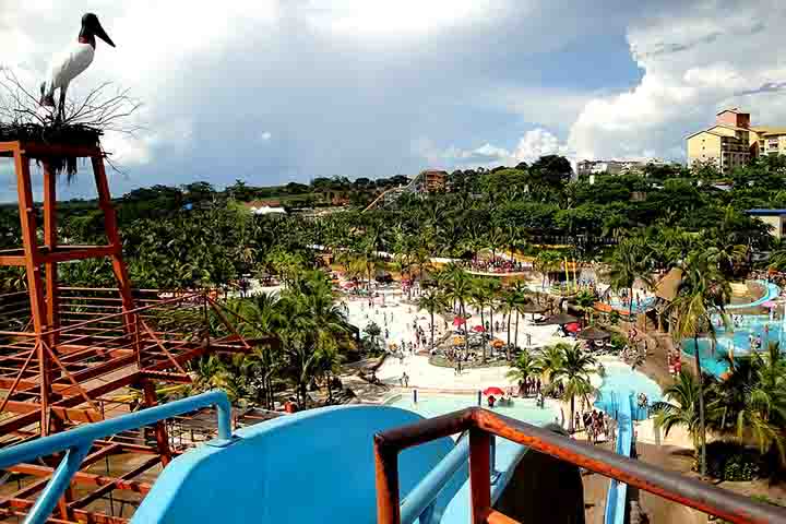 Um dos principais é o Thermas dos Laranjais, considerado o maior parque aquático da América Latina. Ele oferece inúmeras atrações, tais como toboáguas e piscinas de ondas, que chamam a atenção de quem curte áreas de lazer, temáticas e para todas as idades.