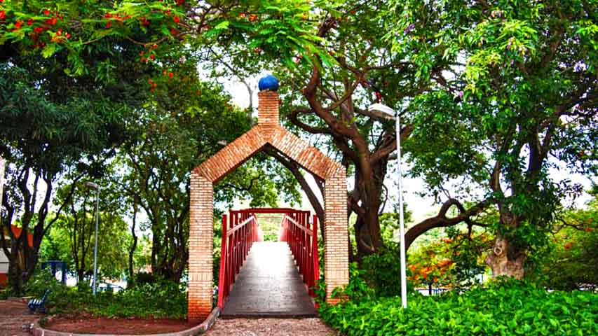 Horto Florestal - Centro de produção de mudas, o horto é pioneiro na arborização da cidade e abriga trilhas e jardins educativos. Perfeito para conhecer como se iniciaram as campanhas de plantio que hoje fazem parte do orgulho local.