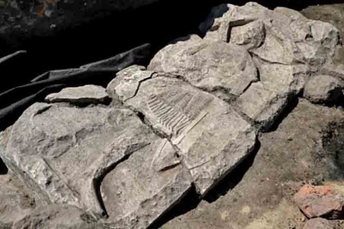 Lápide de cavaleiro medieval é descoberta em Gdansk, na Polônia - Divulgação