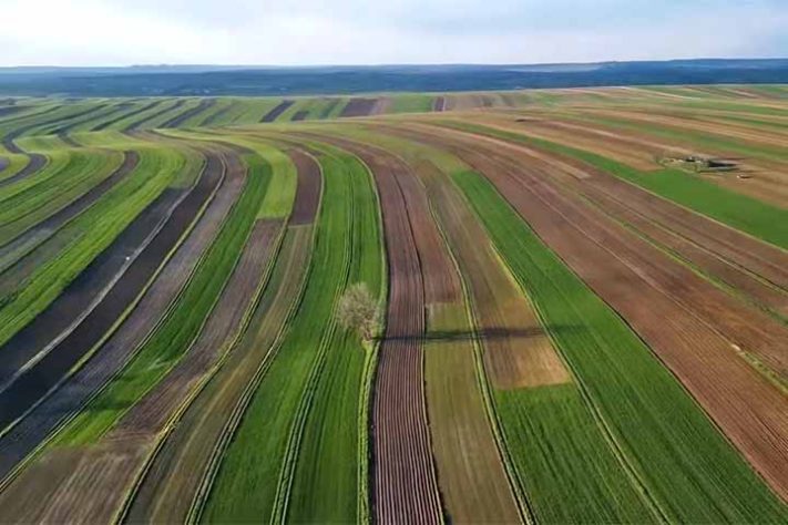 Vila Sułoszowa, Polônia - Reprodução do Youtube Canal Agro é Bruto