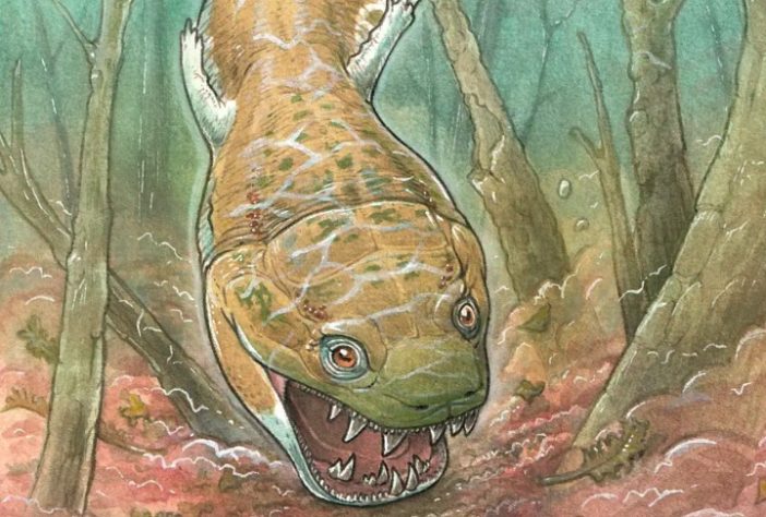 Cientistas encontram fóssil de salamandra gigante pré-histórica - Gabriel Lio/Divulgação