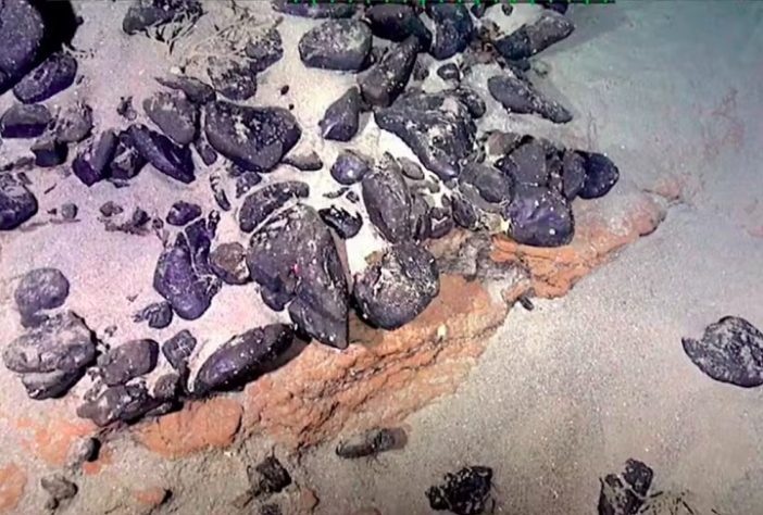 Elevação do Rio Grande - Brasil reivindica ilha submersa do tamanho da Espanha