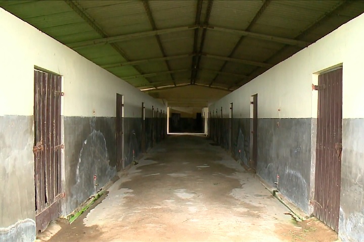 Além dele, 69 cavalos morreram no mesmo haras, todos com sintomas semelhantes, após a substituição da ração.-Reprodução/TV Globo