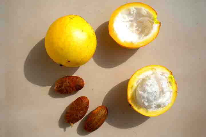 O fruto (Garcinia humilis) pertence Ã  Clusiaceae, que Ã© uma famÃ­lia botÃ¢nica que inclui vÃ¡rias espÃ©cies de plantas tropicais e subtropicais. Outras frutas conhecidas desta famÃ­lia sÃ£o a mangostÃ£o (Garcinia mangostana) e o bacupari (Garcinia brasiliensis).
