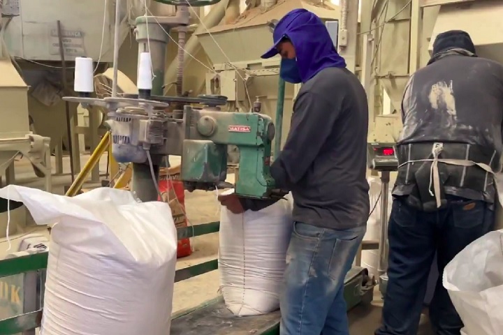 “Esse é um caso único. Nunca, em toda a história do ministério, havíamos identificado a presença dessa substância em ração para equinos", destacou o secretário de Defesa Agropecuária, Carlos Goulart.-Reprodução/TV Globo