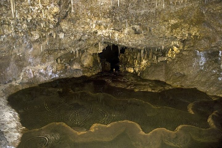 Pontos históricos como a Harrison's Cave (uma impressionante caverna de calcário) e o St. Nicholas Abbey (uma antiga plantação do século 17) ajudam a impulsionar o turismo na ilha.