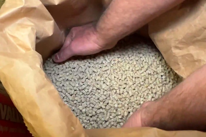 Apesar de uma decisão judicial permitir que a empresa retome parte da produção (excluindo rações equinas), o Mapa recorreu, alegando riscos sanitários.-Reprodução/TV Globo