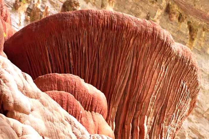 Parque Nacional Cavernas do Peruaçu - Patrimônio Mundial Natural da Humanidade