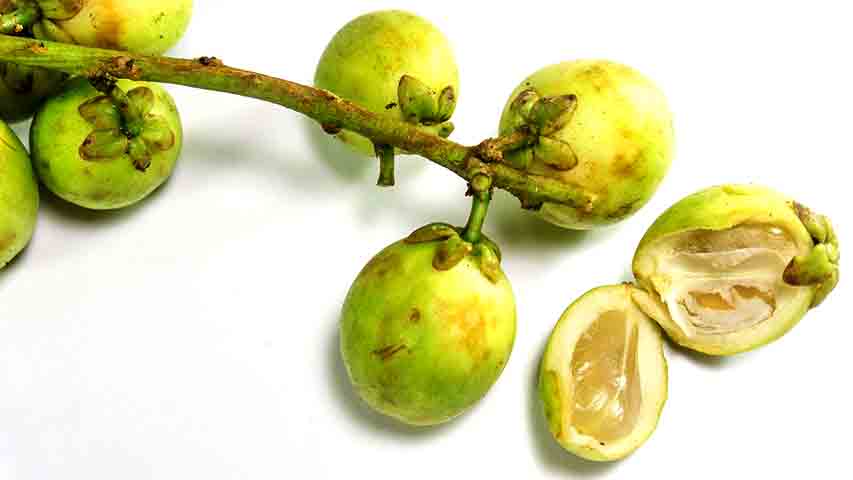 Este fruto é cultivado principalmente na Malásia, Indonésia, Tailândia, Filipinas e em algumas regiões do sul da China. Entretanto, ele também, nas últimas décadas, tem aparecido com mais frequência em algumas plantações no Brasil, especialmente na região Norte.