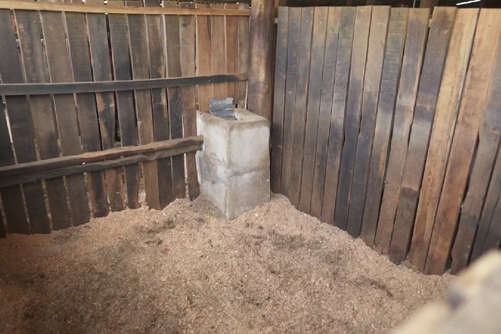 "Você é tão grande que fez eu me sentir grande. Um criador comum, até falarem que eu era seu dono [...] Todas as decisões, todos os rumos, todas as escolhas... tudo era definidos em função de você", lamentou Luciano Conceição, um dos sócios do animal.-Reprodução/TV Globo