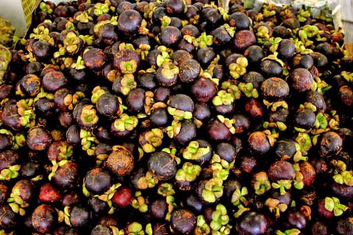 Mangostão