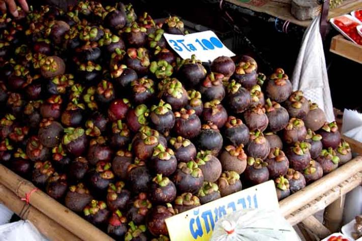 Mangostão