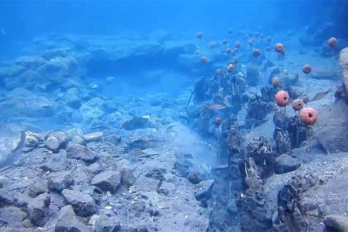 Aenaria, Cidade submersa da Itália