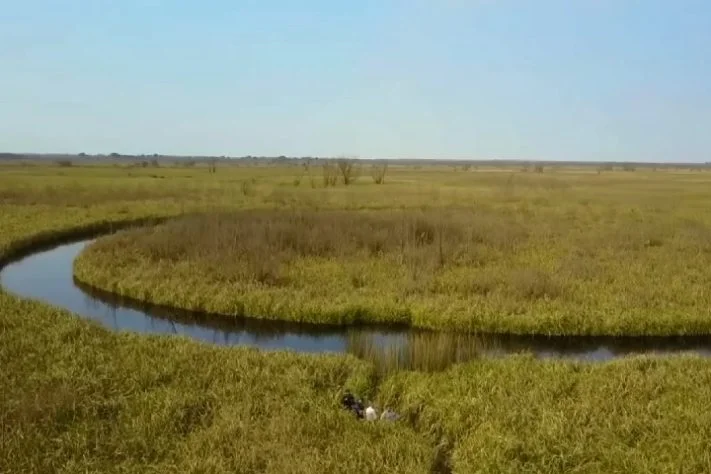 Delta do Paraná, Argentina