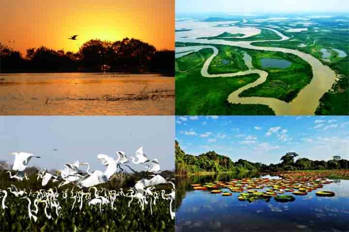 Complexo de Áreas Protegidas do Pantanal (MT/MS - Locais brasileiros já reconhecidos como Patrimônio Mundial da Unesco - Divulgação