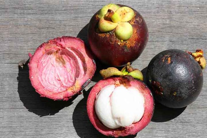Mangostão