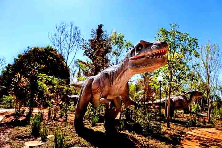 A cidade também tem uma ótima opção de lazer que é o Vale dos Dinossauros. A atração é bastante voltada para as crianças, pois apresenta animatrônicos bem feitos e mega realistas, com diversas informações sobre esses animais pré-históricos.