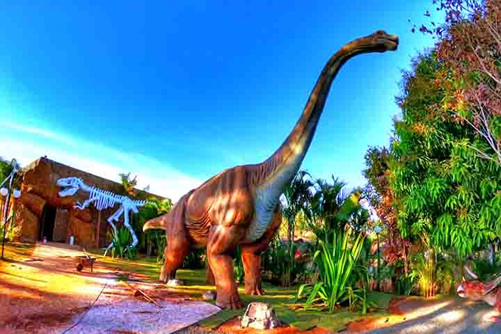 Além das grandes estrelas, os dinossauros, a estrutura do parque conta com cinema, brinquedoteca, playground (Dino Play), loja, área para escavação, incubadora, Dino Banda, fontes luminosas, quiosques de sorvetes e salgados. 