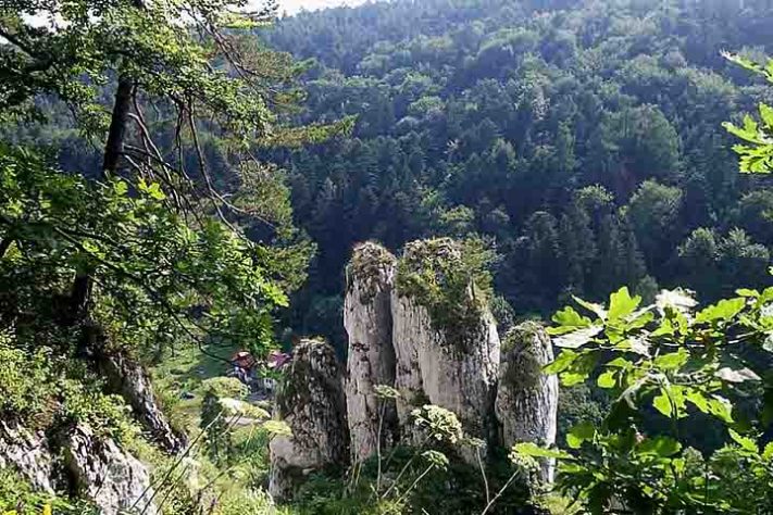 Parque Nacional Ojcowski - Vila Sułoszowa, Polônia - Jan Jerszyński /Wikimédia Commons
