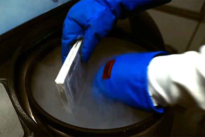Além disso, o protocolo inclui o uso de inibidores de checkpoint imunológico - medicamentos que "liberam os freios" do sistema imunológico, permitindo que ele ataque com mais eficiência. 
