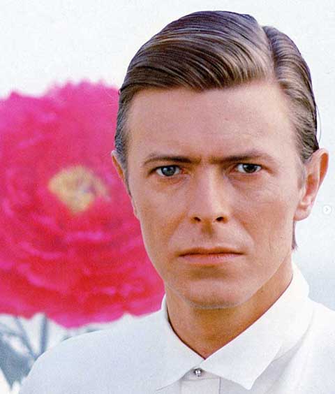 David Bowie - O ícone da cultura pop, morto em 2016, é um caso que não se enquadra em heterocromia, apesar de muitos achassem que sim. Embora seus olhos parecessem de cores diferentes — um castanho e o outro verde?acinzentado —, essa aparência era causada por uma condição chamada anisocoria. 
