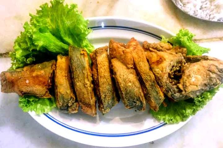 Anchova