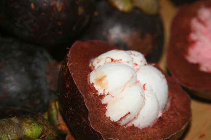 Mangostão