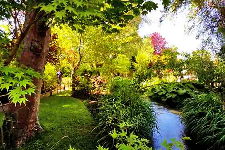 Hoje, sua casa e seus jardins em Giverny atraem milhares de visitantes que buscam entender e admirar o universo de um dos maiores artistas da história.