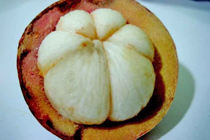 Mangostão