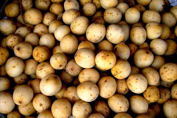 Entre as receitas tradicionais na Ásia, destacam-se o xarope de langsat, a geleia e o fruto seco, que concentra seus sabores. Ele também pode ser ingrediente popular em saladas de frutas tropicais, onde sua acidez se destaca.