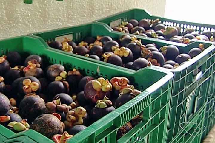 Além disso, este alimento tem ótimas quantidades de água e potássio. Isso permite eliminar o excesso de sódio do organismo pela urina, ajudando a equilibrar a pressão arterial.