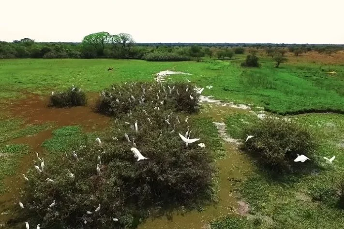 Reserva da Biosfera Delta del Paraná, Argentina