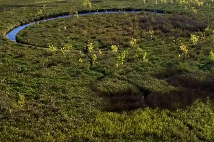O comportamento intrigante da ilha deu origem a teorias envolvendo alienígenas e até divindades sobrenaturais!