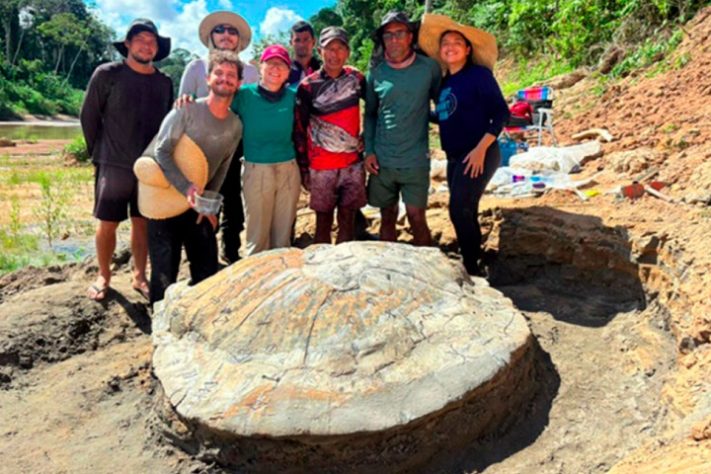Pesquisadores acham fóssil de tartaruga gigante que viveu na Amazônia há 13 milhões de anos