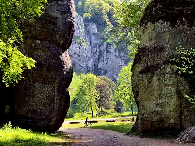 A paisagem do parque é marcada pela topografia característica do planalto jurássico de Cracóvia–Cz?stochowa, com vales profundos, cavernas e impressionantes "rochas em forma de cogumelos".