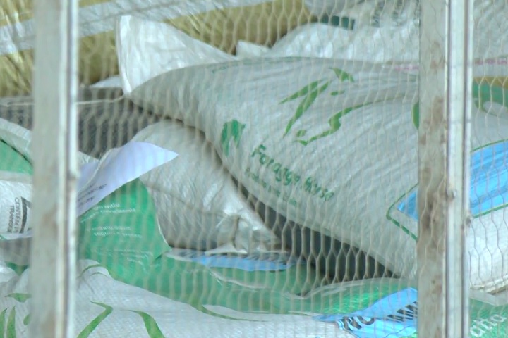 Em todos os casos, os animais consumiram rações da empresa Nutratta Nutrição Animal Ltda.-Reprodução/TV Globo