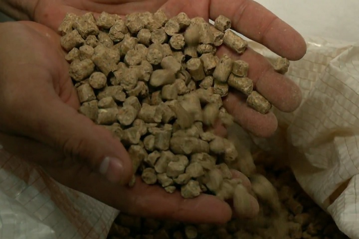 Diante disso, o ministério determinou a suspensão da produção e venda de rações para equinos e, posteriormente, para todas as espécies.-Reprodução/TV Globo