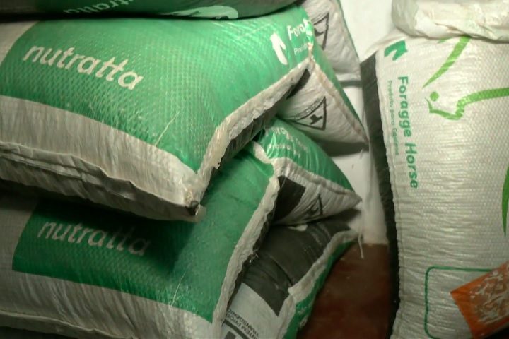 Segundo o Mapa, a contaminaÃ§Ã£o teria ocorrido por uma falha no controle da matÃ©ria-prima.-ReproduÃ§Ã£o/TV Globo