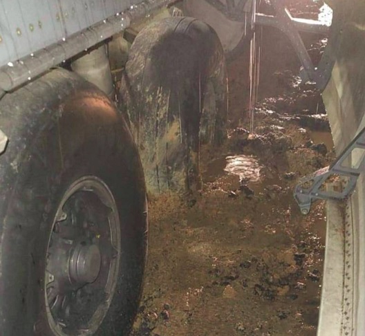As fotos mostram a aeronave parada na pista, com um pneu do trem de pouso principal afundado e rodeado por barro.