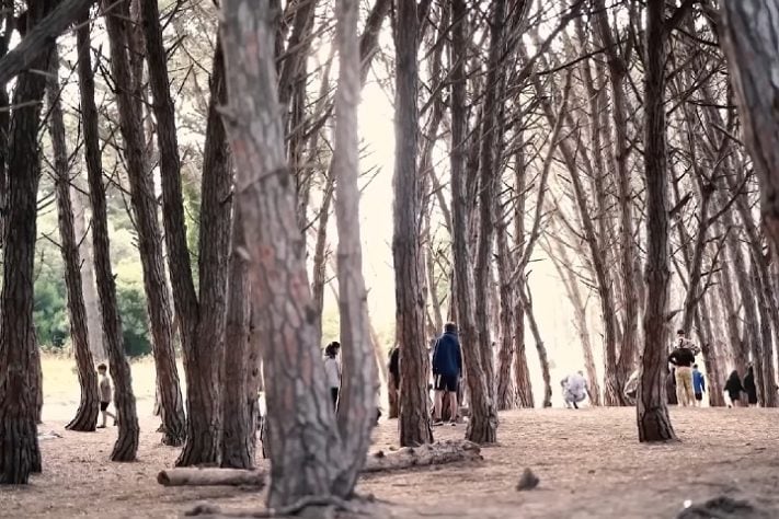 Bosque Energético - Miramar, Argentina