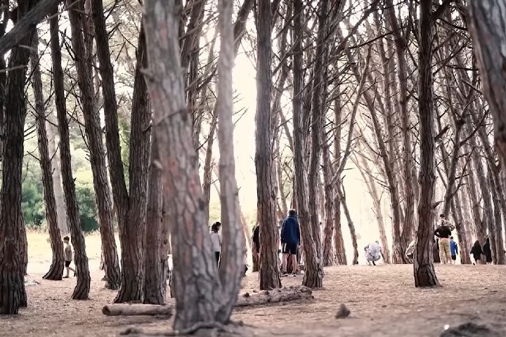 Essa área florestal, segundo a crença popular, tem uma energia especial e é frequentemente visitada por aqueles que buscam relaxamento e contato com a natureza.-Reprodução/YouTube