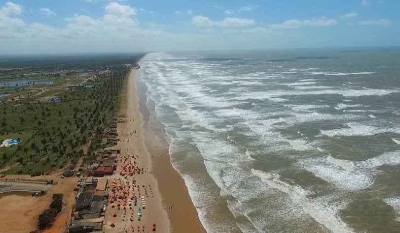 Tubarão Mega-boca encalha em Sergipe - Reprodução UFAL
