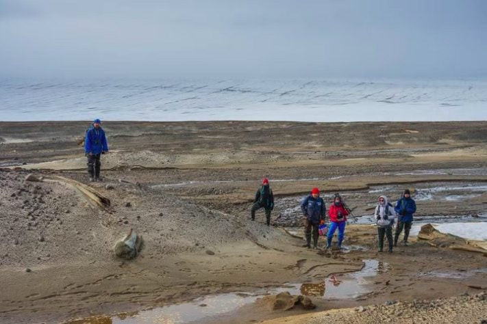 Cientistas descobrem grande cemitério de baleias em ilha do Ártico Russo - Divulgação/AARI