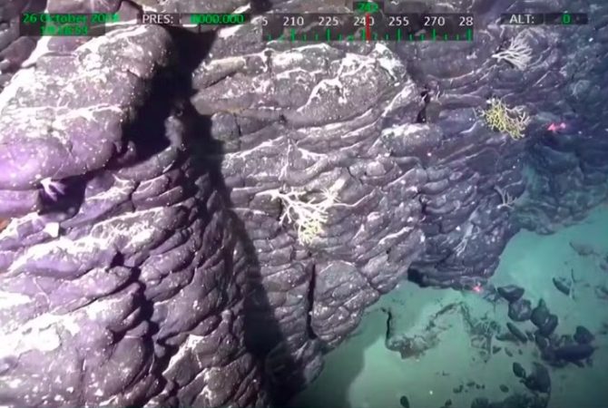 ONU pode reconhecer ilha brasileira submersa do tamanho da Espanha