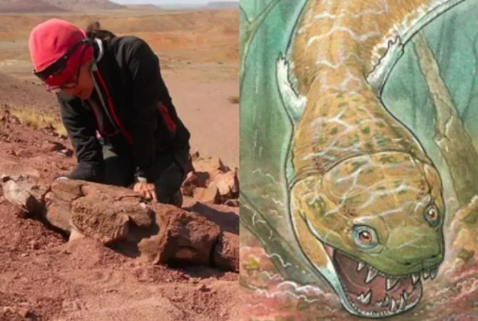 Cientistas encontram fóssil de salamandra gigante pré-histórica que ‘sugava’ presas